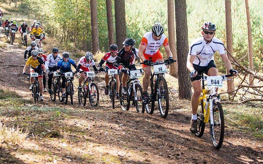 Sprawdziłem w wynikach - 90% widocznych na fotce to miniowcy