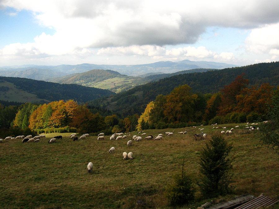 Z Bacówki nad Wierchomlą