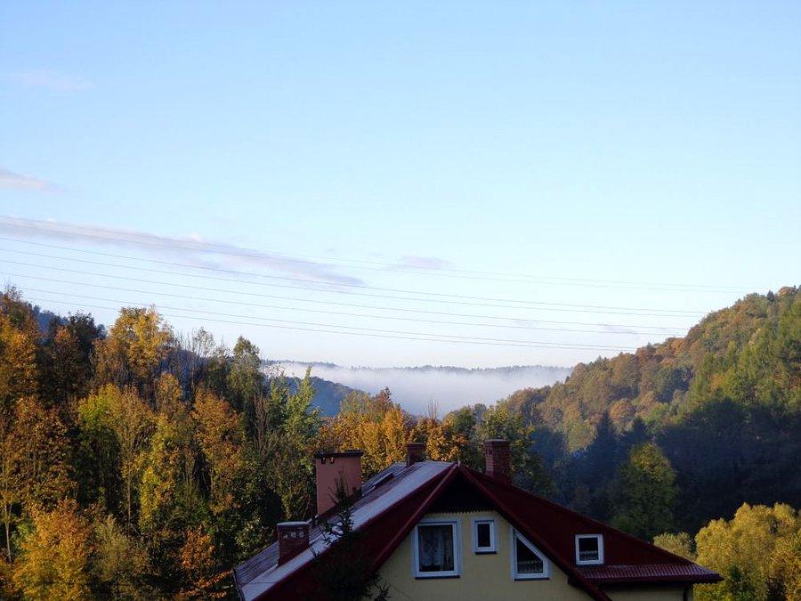 Widoczek o poranku