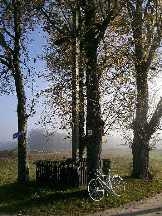 Krzyż w Mirowicach, szukam łejpojnta