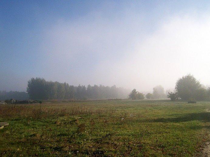 Ostatnie mgiełki snują się jeszcze przy ziemi