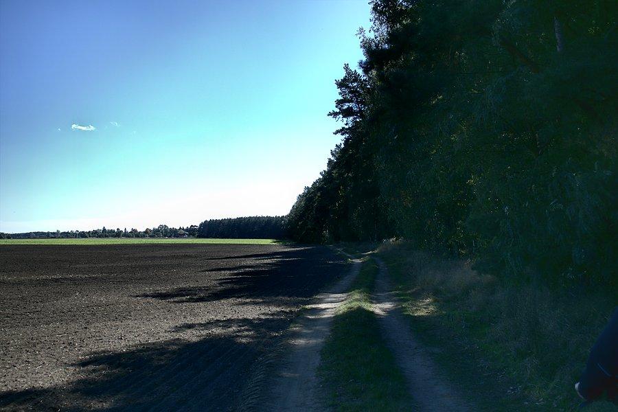 Polna droga do Psich Głów