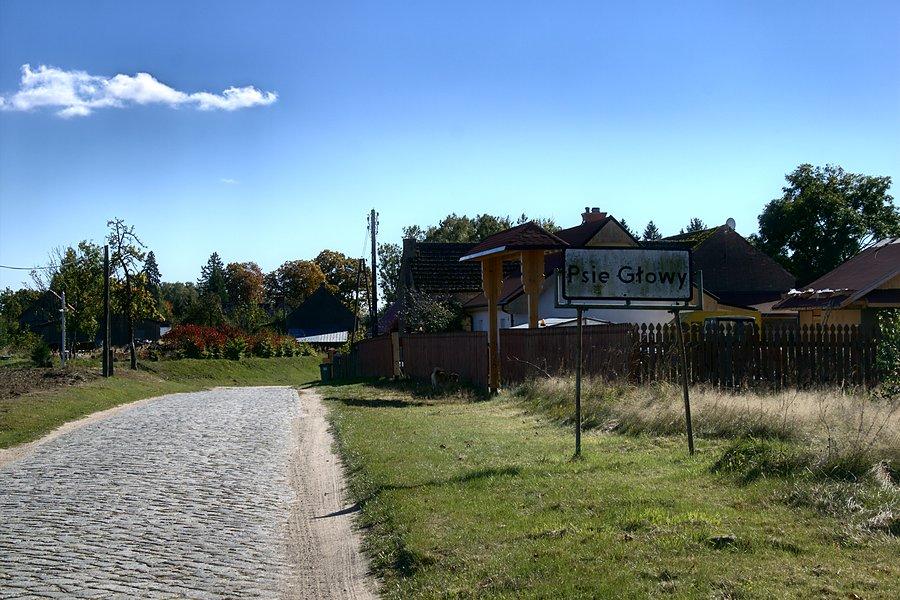Psie Głowy przed nami