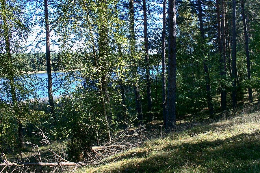 Jezioro Psarskie