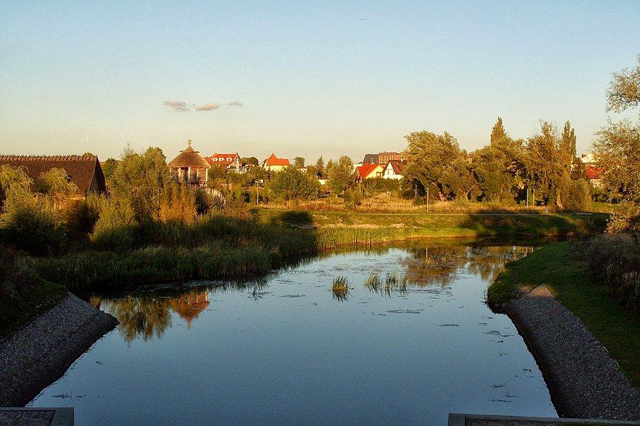 Rzeka Radunia w Pruszczu Gdańskim