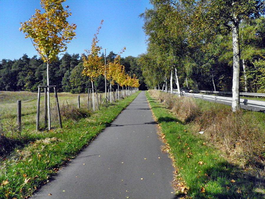 Ścieżka rowerowa między Linken a Bismark, tuż przy granicy z Polską