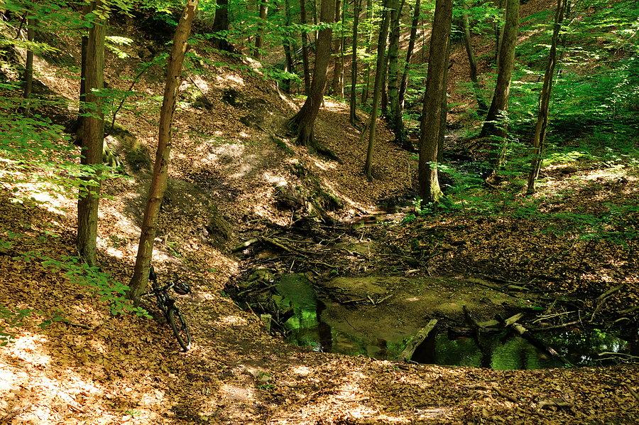 Trasa maratonu MTB w Połczynie