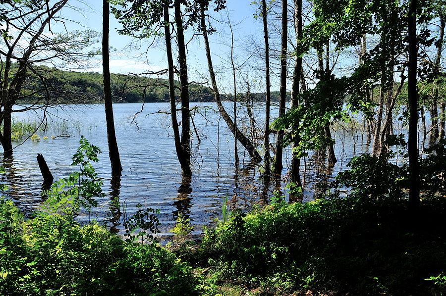 Wolgastsee