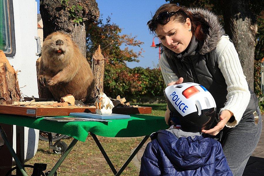 Ze stołu spogląda na nas bóbr