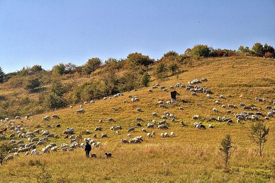 Górskie klimaty pomiędzy Gartz a Mescherin
