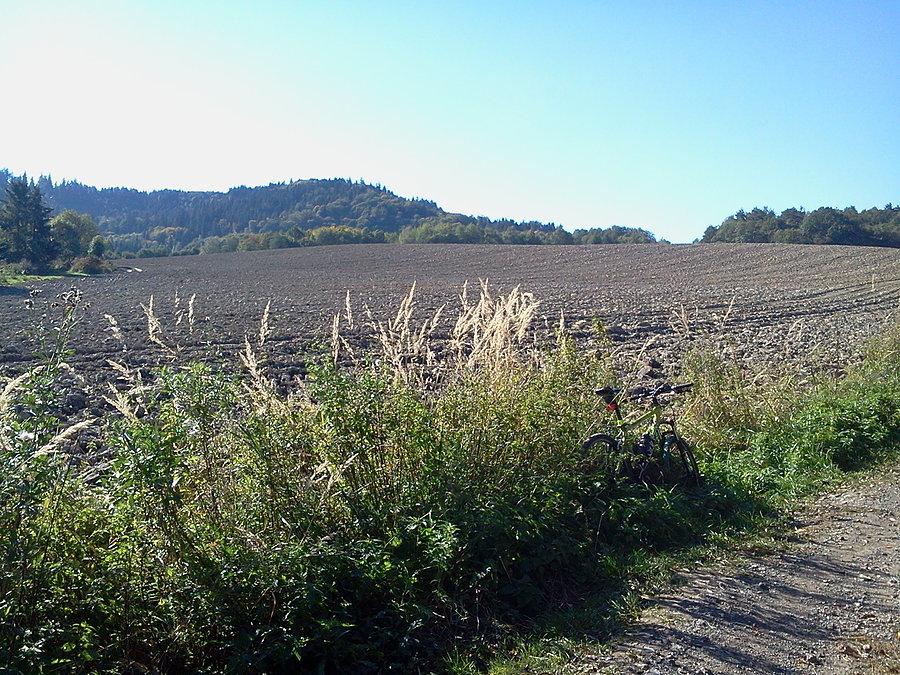 Metylovicka hurka