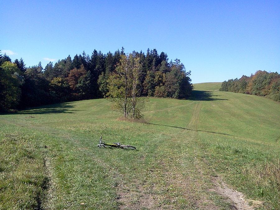 Łąka pod Metylovicką hurką