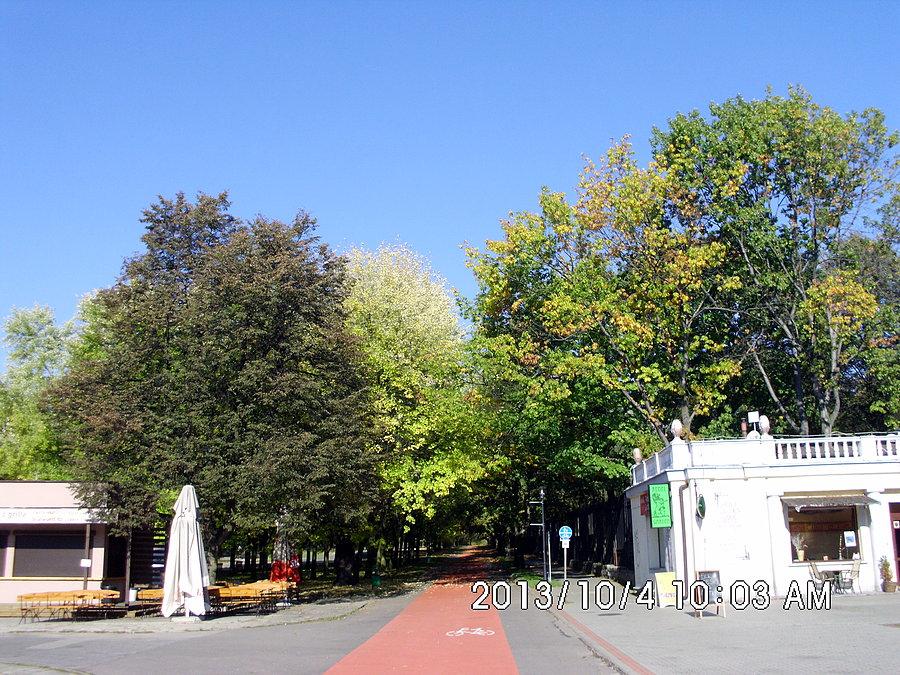 park nabiera kolorytu jesieni