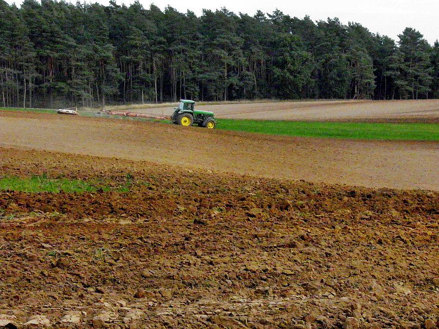 Jesienne prace na polu pod Blankensee - 4 października 13 r
