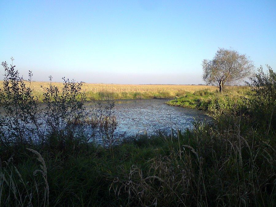 Kanałowa zupa