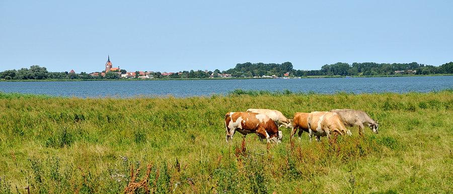 Panorama Usedom