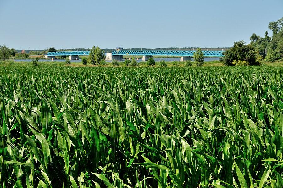 Peenebrücke - jeden z dwóch mostów łączących Uznam z lądem