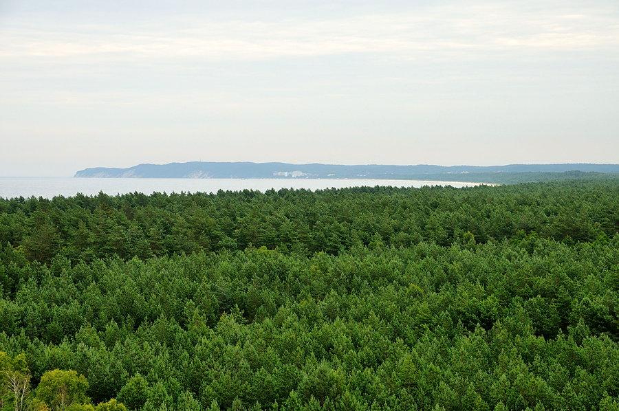Widok w kierunku Międzyzdrojów