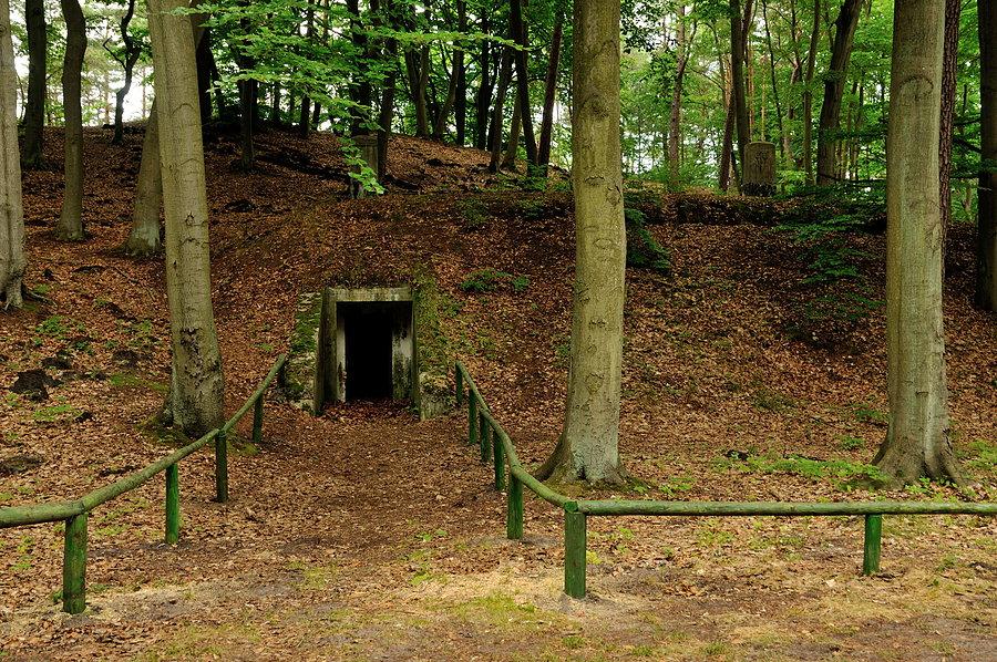Bunkry koło Międzyzdrojów