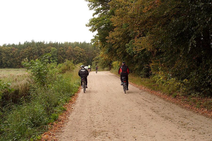 Rowerzyści w drodze