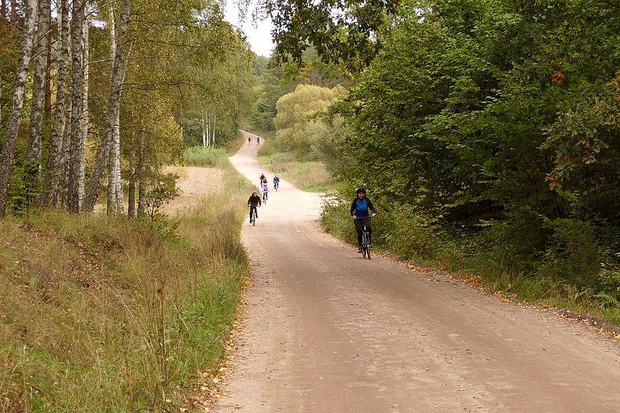 Rowerzyści w drodze