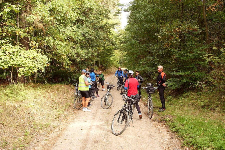 Rowerzyści w drodze