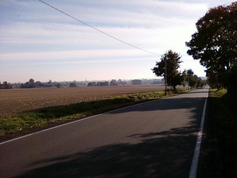 Zjazd z Górki Pabianickiej