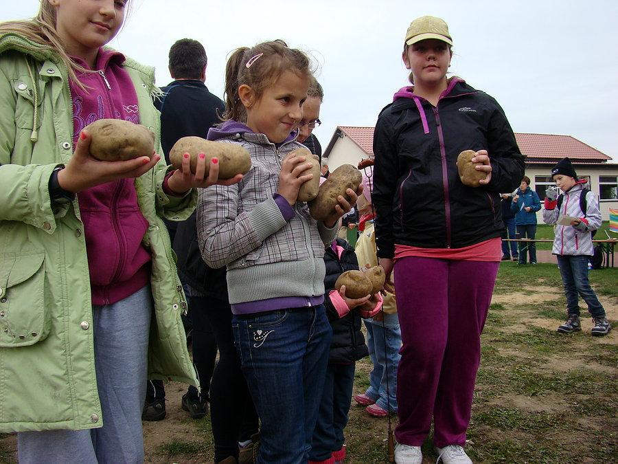 Konkurs na największego ziemniaka