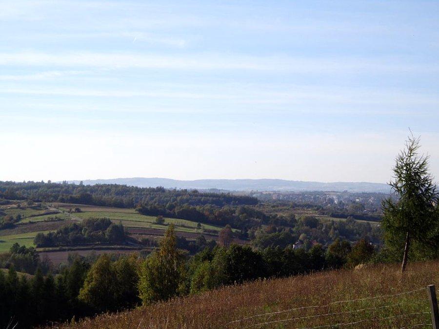 Widoczek na koniec