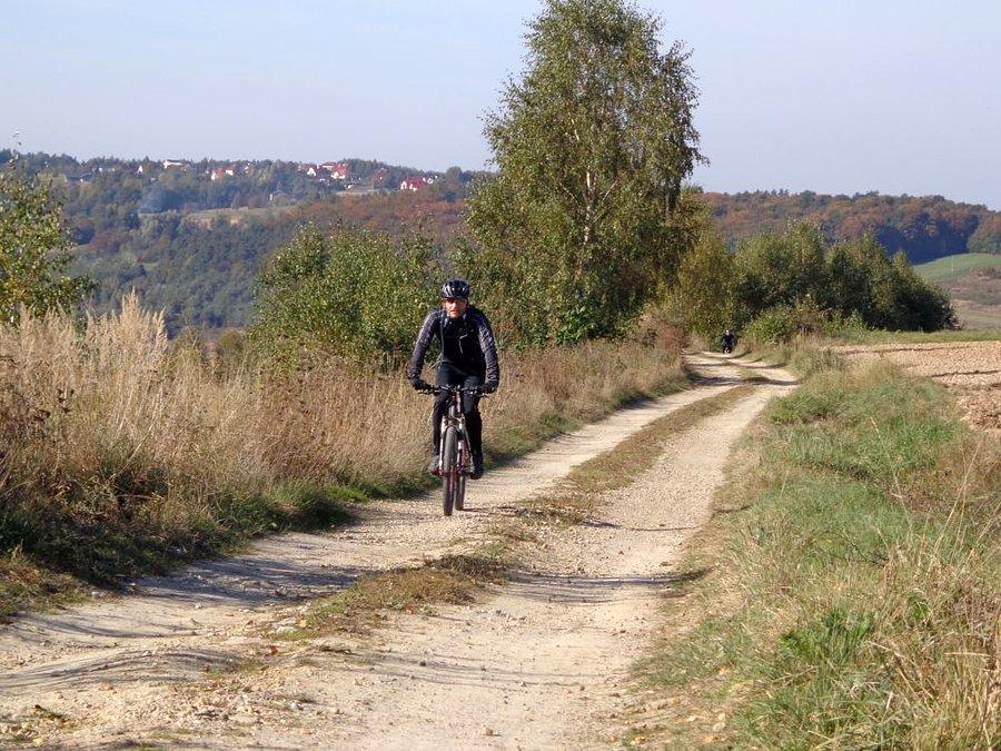 Lecimy na Borówki
