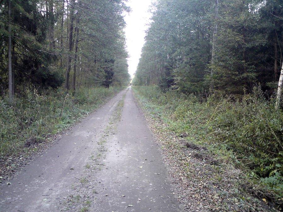 Na Białej Drodze