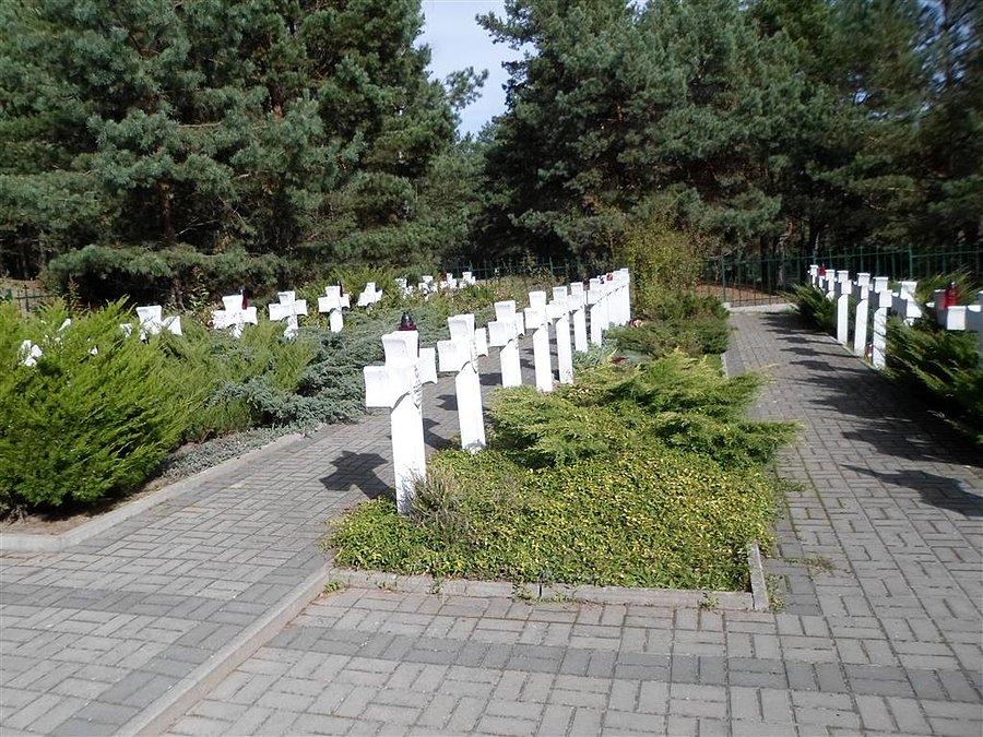 Rząd białych krzyży