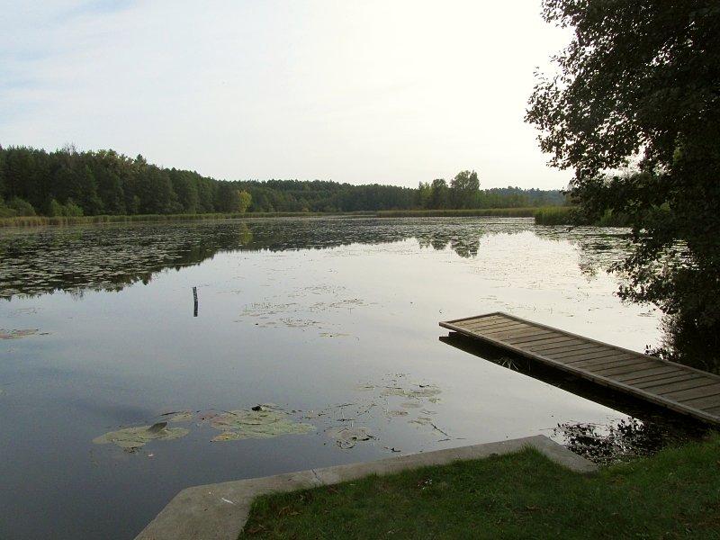 Jezioro Zielonka w Zielonce