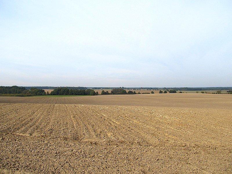 Widok na okolice Kiszkowa