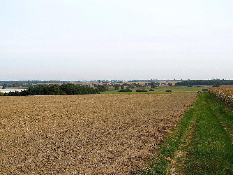 Widok z wsi Wysoka