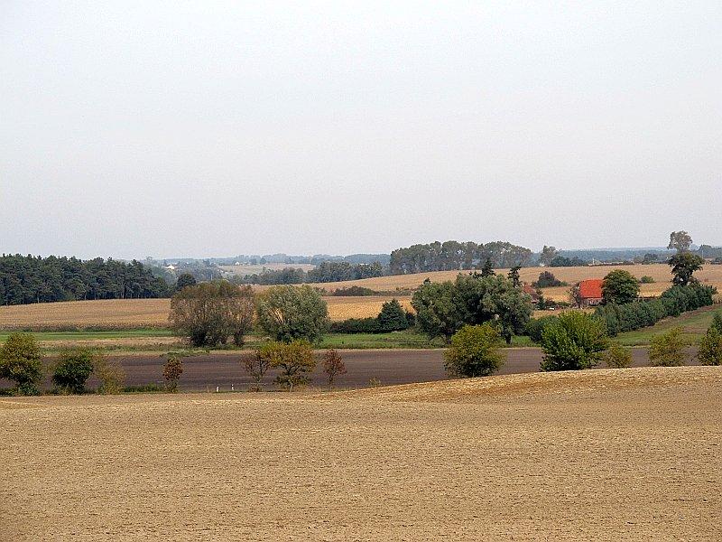 Wieś Darmoszewo w oodali