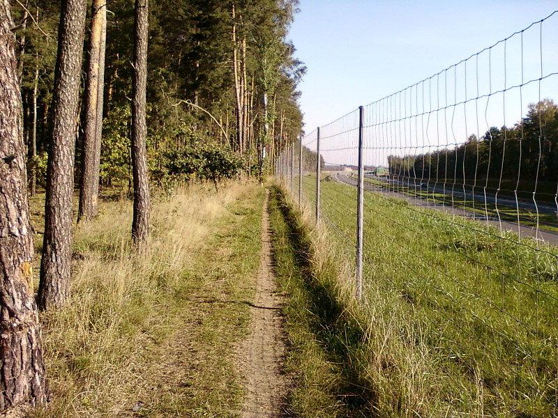 Wzdłuż S14 - ścieżka