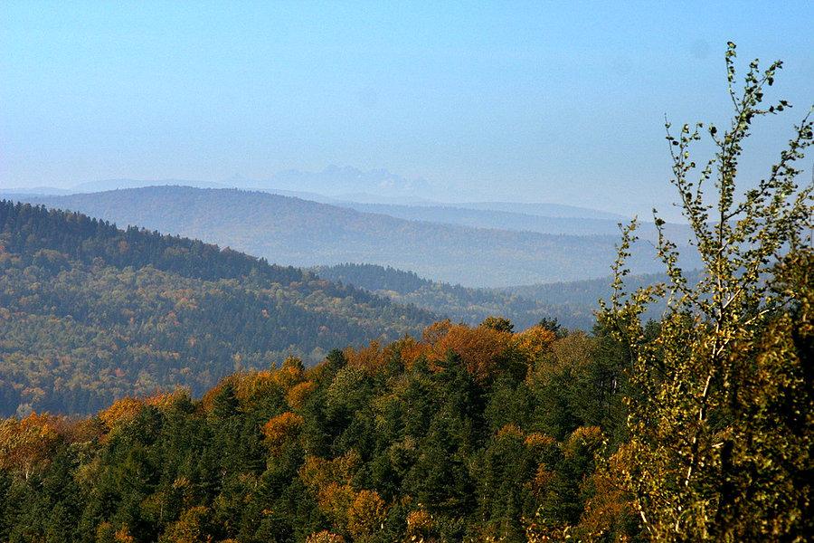 Tatry w oddali