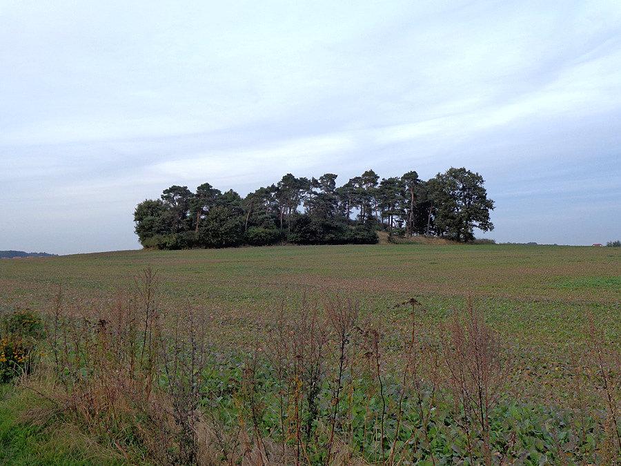 Sosnowe Wzgórze