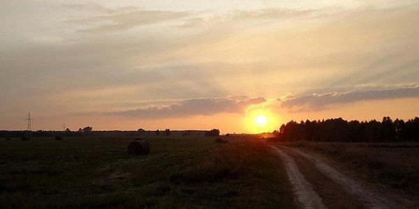 Zachód słońca nad polami w Husince