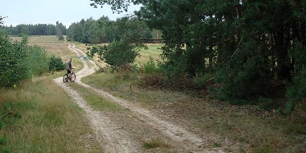 Polna droga w stronę wsi Husinka