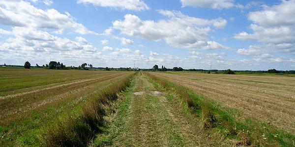 Przez pola z Huszczy do Kopytnik