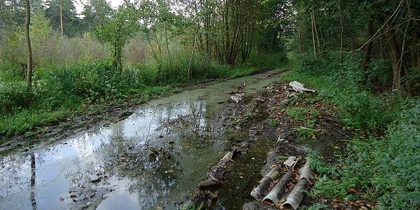 Okolice Husinki. Wodna przeszkoda terenowa