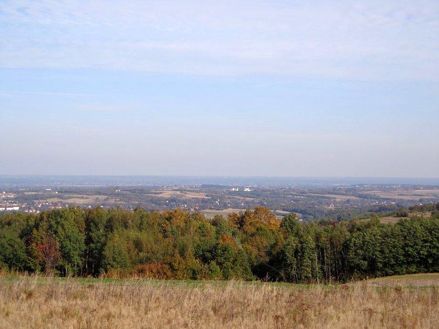 Widok z góry
