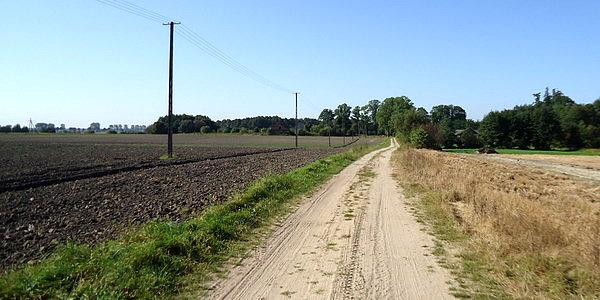 Droga mająca poprowadzić nas na skróty do Droblina okazała się być ślepą
