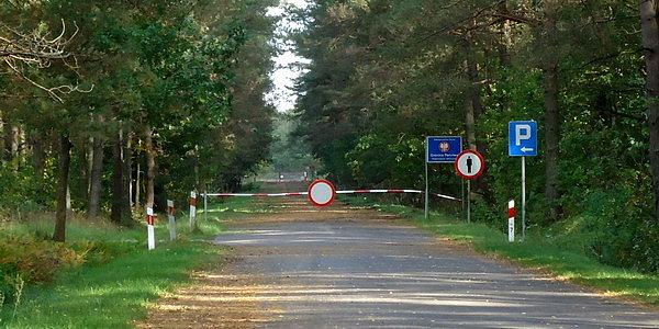 Granica Polski z Białorusią tuż przy uroczysku leśnym Koterka