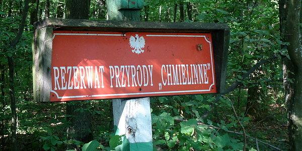 Wróciliśmy przez Leśną Podlaskę i Rezerwat Przyrody "Chmielinne"