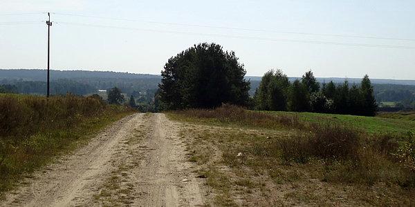 Niemirów. Falisto-pagórkowaty podlaski krajobraz urozmaicają wzgórza moren czołowych