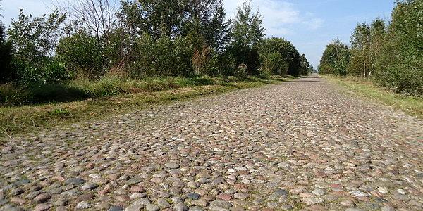 Droga z kamieni polnych z Tymianka do Nurczyka