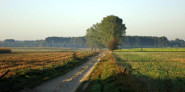 Polną drogą do wsi Knorozy